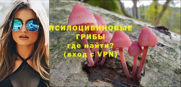 ALPHA PVP Арсеньев